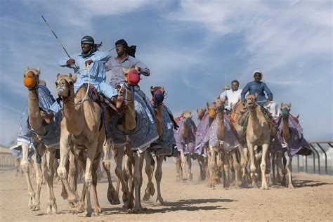 La Rebelión de los Beduinos: Un Vistazo a la Crisis Social y Política en el Alto Egipto del Siglo III